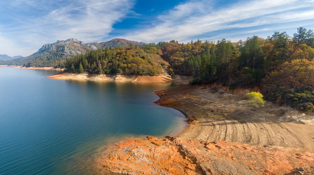 Dried lake bed, autumn colors, low water. Nature's changing landscape. Shasta Lake, Redding, California, USA