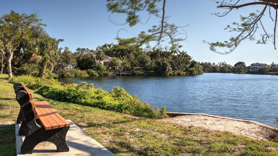 A lakeside park with a wooden bench, lush greenery, and houses in the background.