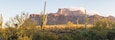 A desert landscape with cacti and a mountain range in the background.