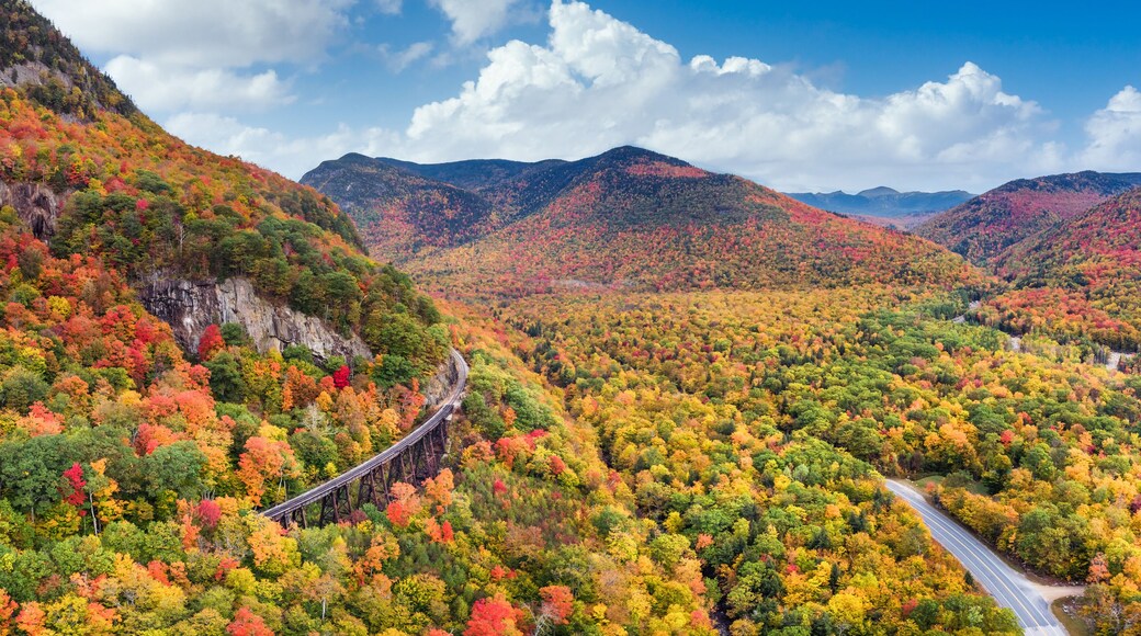 Autumn foliage at Frankenstein Cliff on Crawford Notch Road in the White Mountain national Forest - New Hampshire