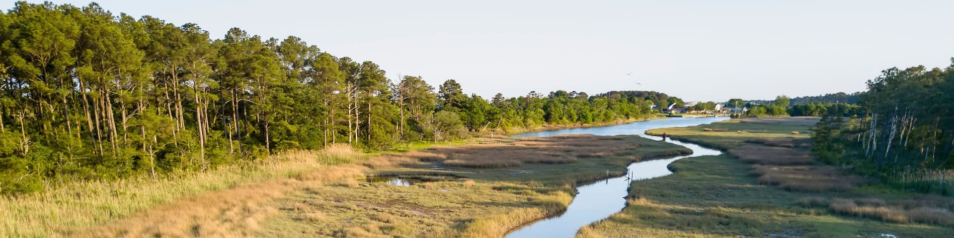 Salt marsh, creek and loblolly pine trees near the Chesapeake Bay.; Hampton, Fox Hill - Grandview, VA, USA