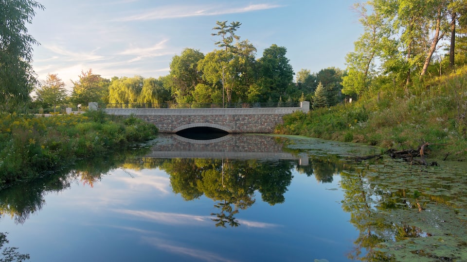 normandale lake park and bridge