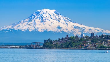 Mount Rainier and Tacoma from Point Ruston
