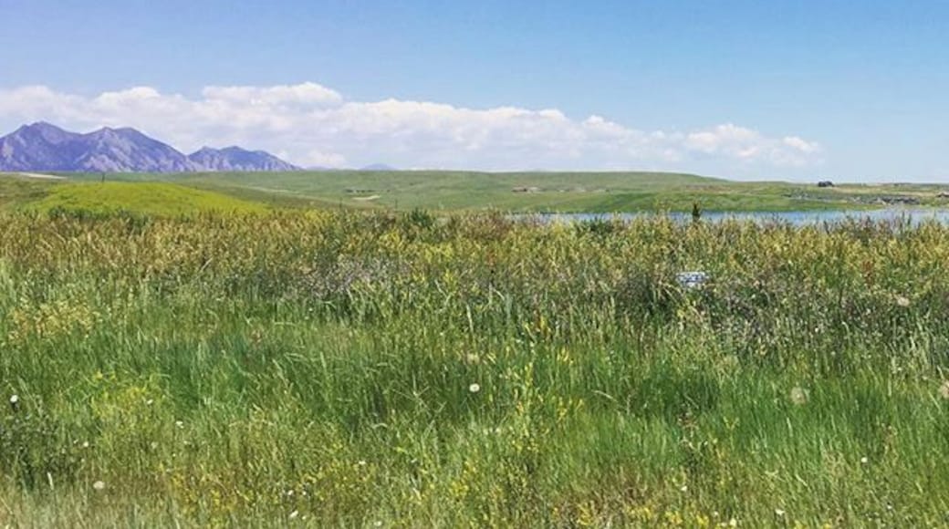 One more from last weekend... This is passing by Standley #lake with a view north towards #Boulder & the #flatirons #colorado #summer #nature