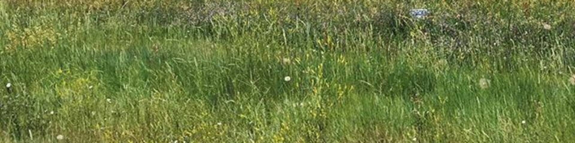 One more from last weekend... This is passing by Standley #lake with a view north towards #Boulder & the #flatirons #colorado #summer #nature