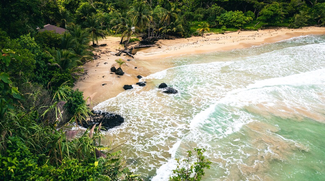 Panama.Tropical Island Aerial View. Wild coastline lush exotic green jungle. Red Frog Beach in Bastimentos Island, Bocas del Toro, Central America, Panama.