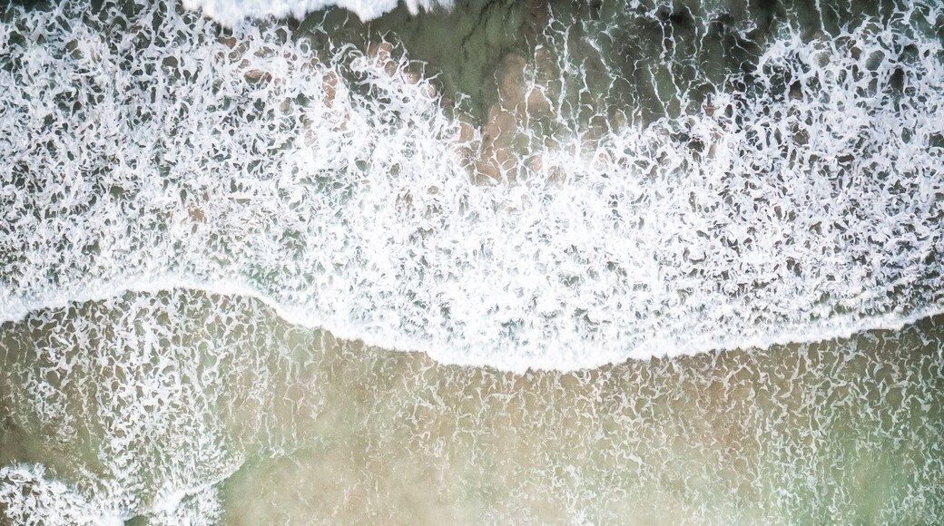 Panama.Tropical Island Aerial View. Wild coastline lush exotic green jungle. Red Frog Beach in Bastimentos Island, Bocas del Toro, Central America, Panama.