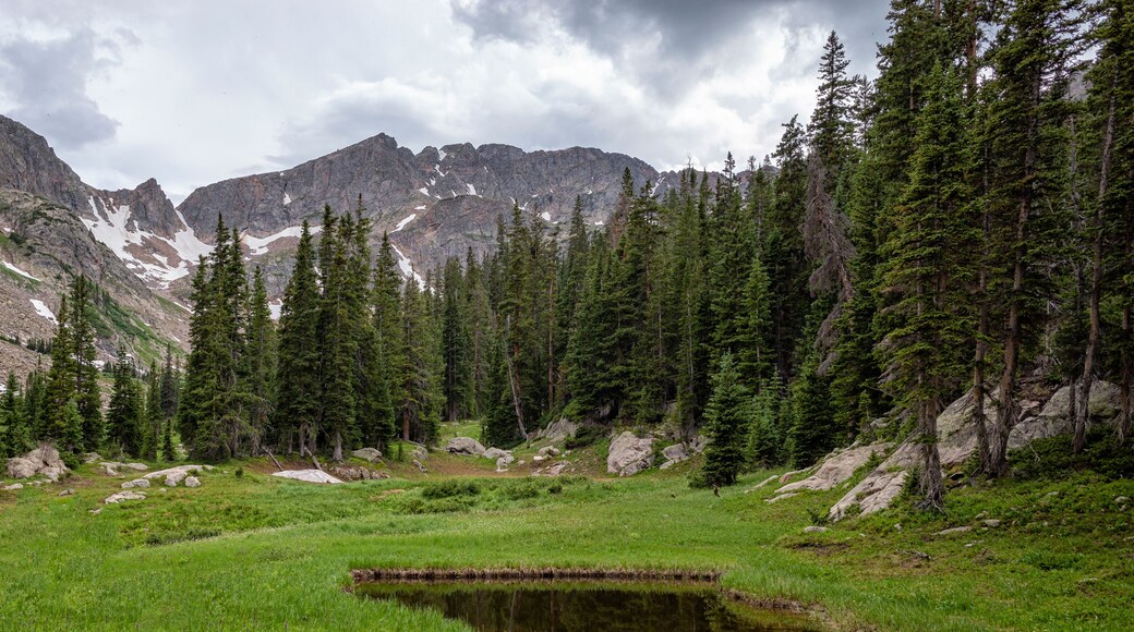 อีเกิ้ลส์เนสท์