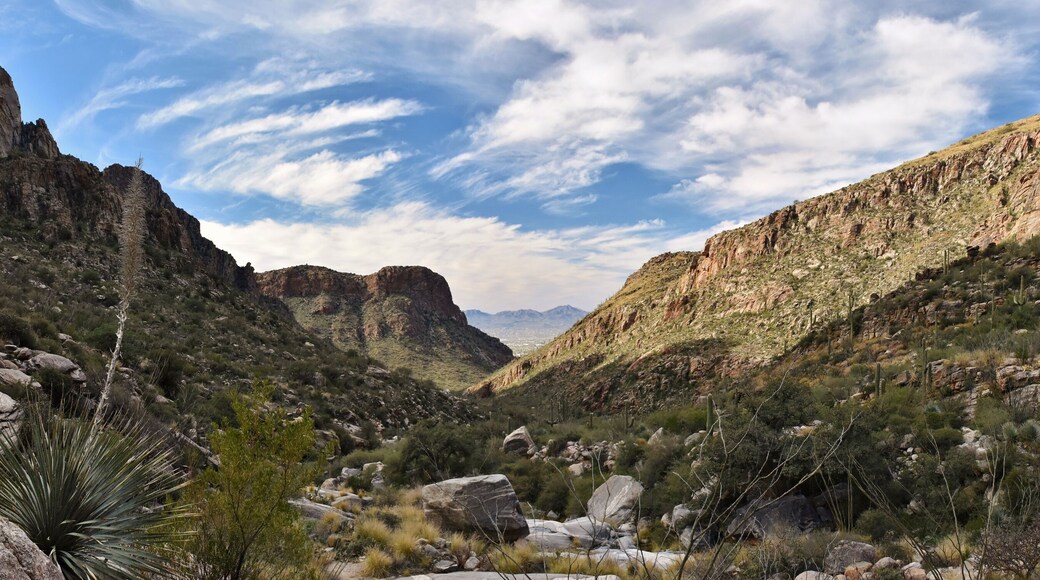 Pima Canyon Trail in Coronado National Forest. The Santa Catalina Mountains can be seen, with Tucson, Arizona in the distance.