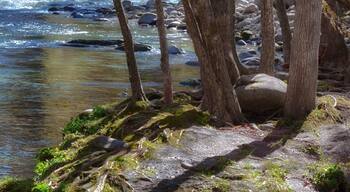 ๋ฆฌํ ํฌ๋ฆฌํฌ ํด์ค