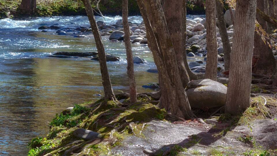 Little Pigeon River in Tennessee