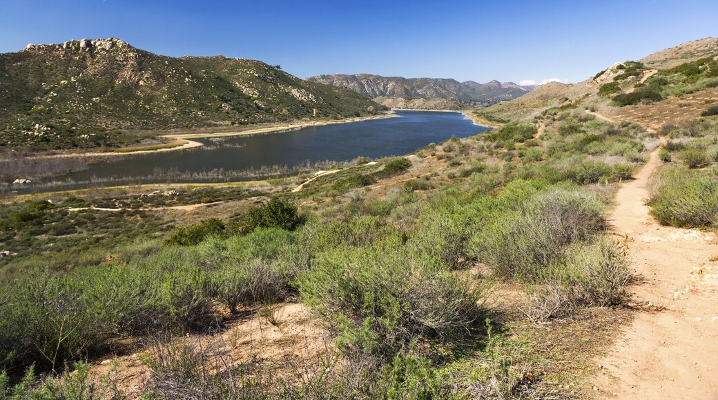 นอร์ทบรอดเวย์