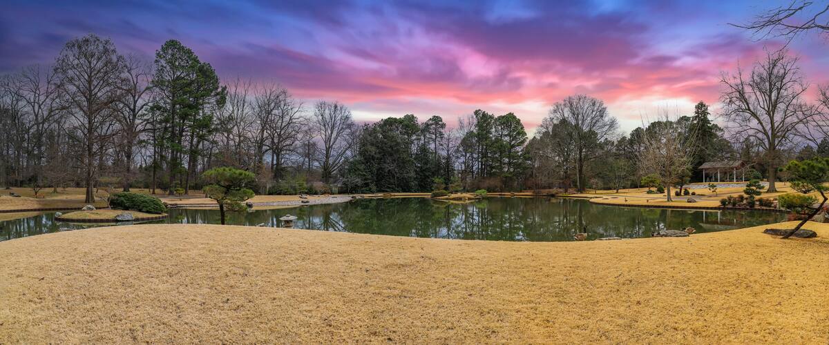 a panoramic shot of a still green lake surrounded by yellow winter grass in a Japanese garden with bare winter trees and lush green plants and purple sky with powerful clouds at sunset