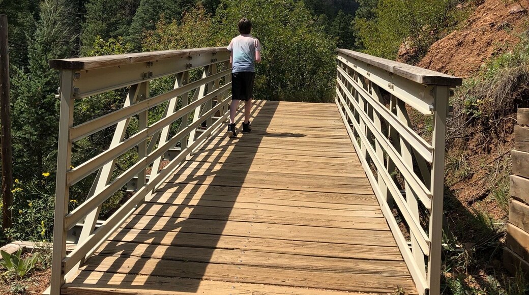 Beautiful Sunday for a hike on Mount Cutler Trail