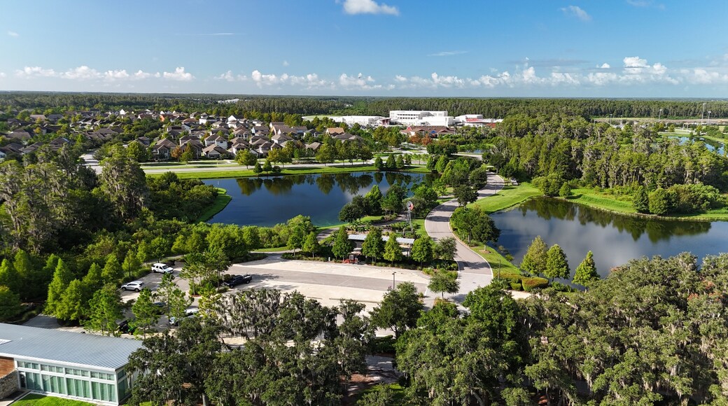 Drone photos of Cummingham Park and lakes