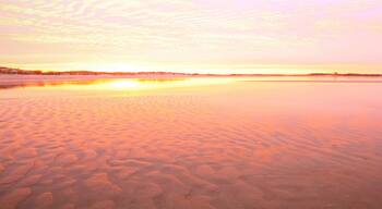 A stretch along the sandy beach of Cape Henlopen State Park, Delaware taken at sunrise.