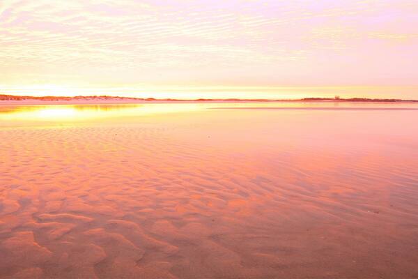 A stretch along the sandy beach of Cape Henlopen State Park, Delaware taken at sunrise.