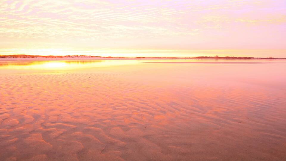 A stretch along the sandy beach of Cape Henlopen State Park, Delaware taken at sunrise.
