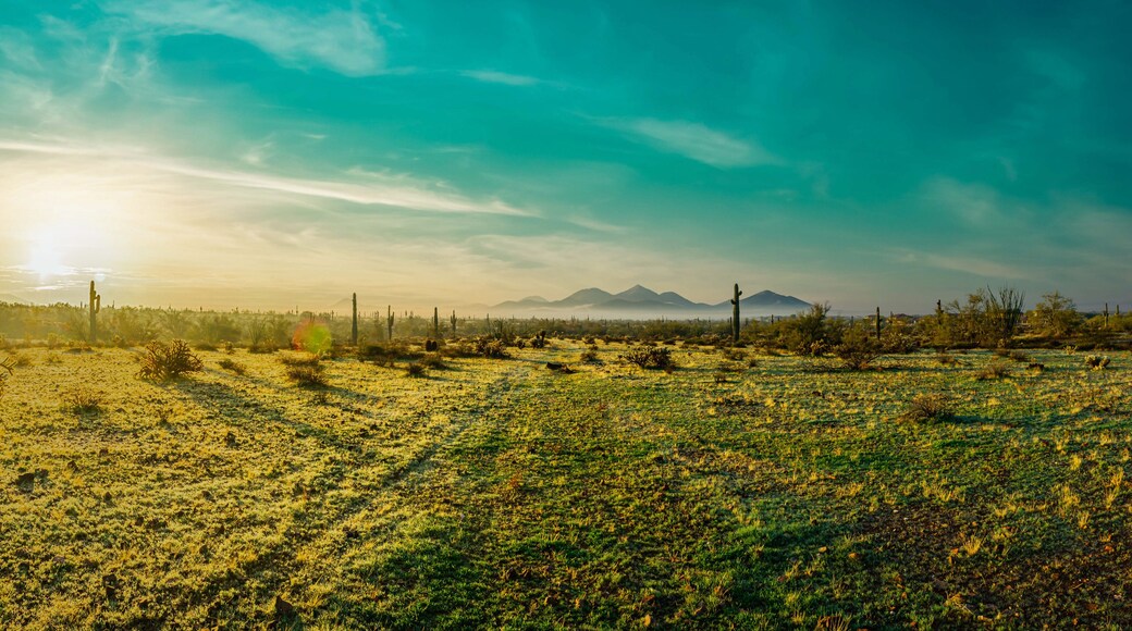 Panorama of a rare morning fog in the Phoenix Sonoran Desert Preserve in central Arizona.
