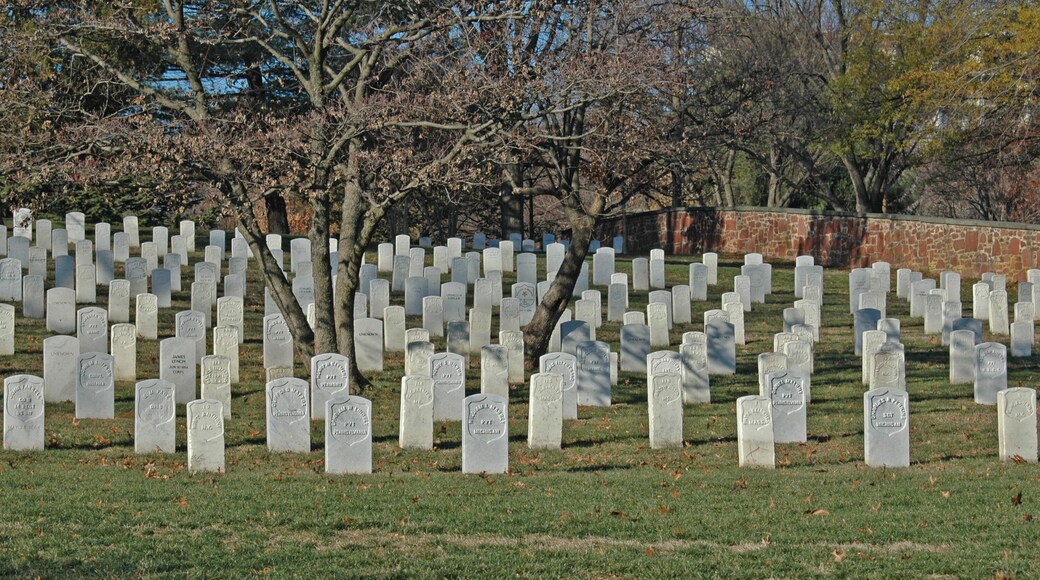 Arlington Cemetery