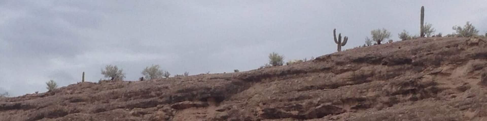 Where the land meets the water and man meets the fish!!