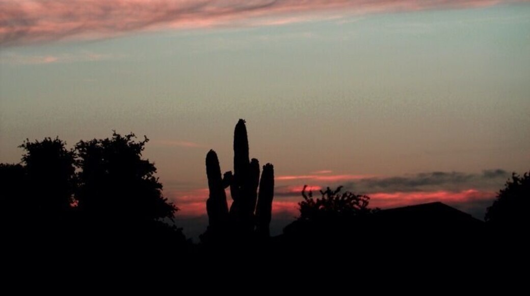 Enchanting desert sky. Even from an ordinary backyard the colors are stunning.
