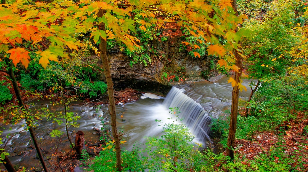 ミュアフィールド ビレッジ