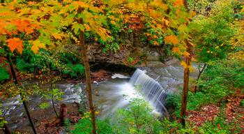 Indian Run Falls Park in Autumn, Dublin, Ohio