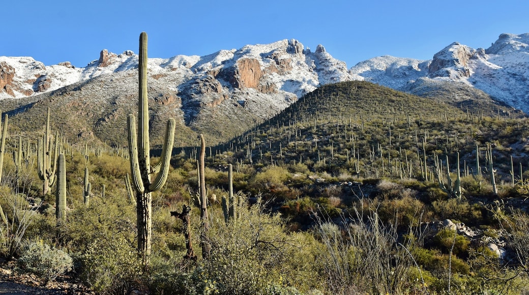 Rita Ranch