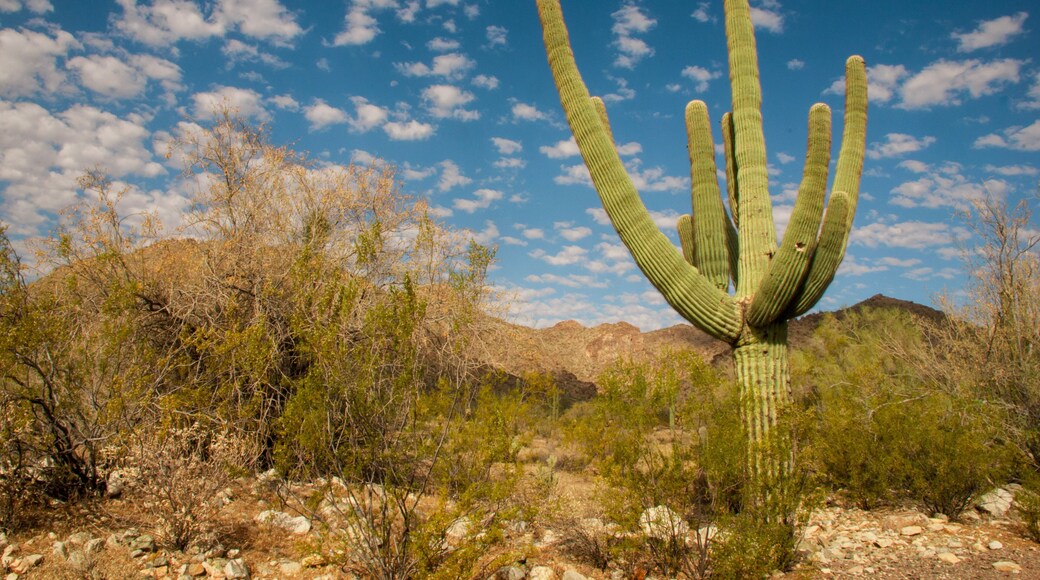 ์ฝ์ํ
๋ ์ดํฌ์ค