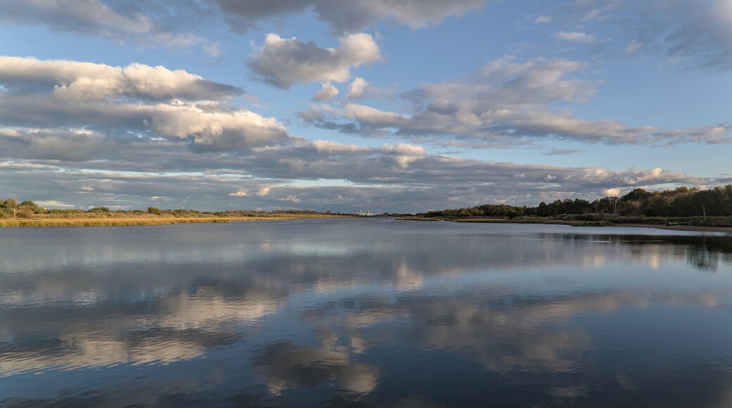 view of wetland from the Marine Park Salt Marsh Nature Trail in brooklyn, new york (with gil hodges bridge to the rockaways int he background) cloud reflections in bay, water (shell bank creek)