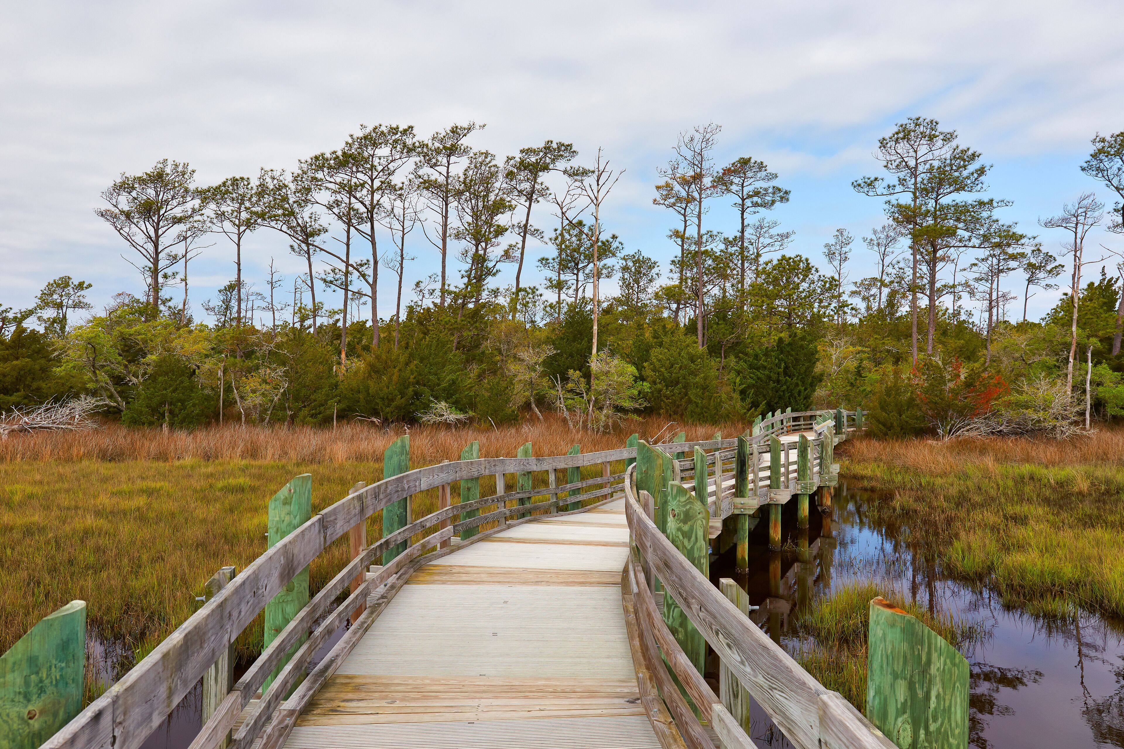 Boardwalk along the Cedar Point (Tideland) hiking trail, located in the Croatan National Forest near Emerald Isle, North Carolina