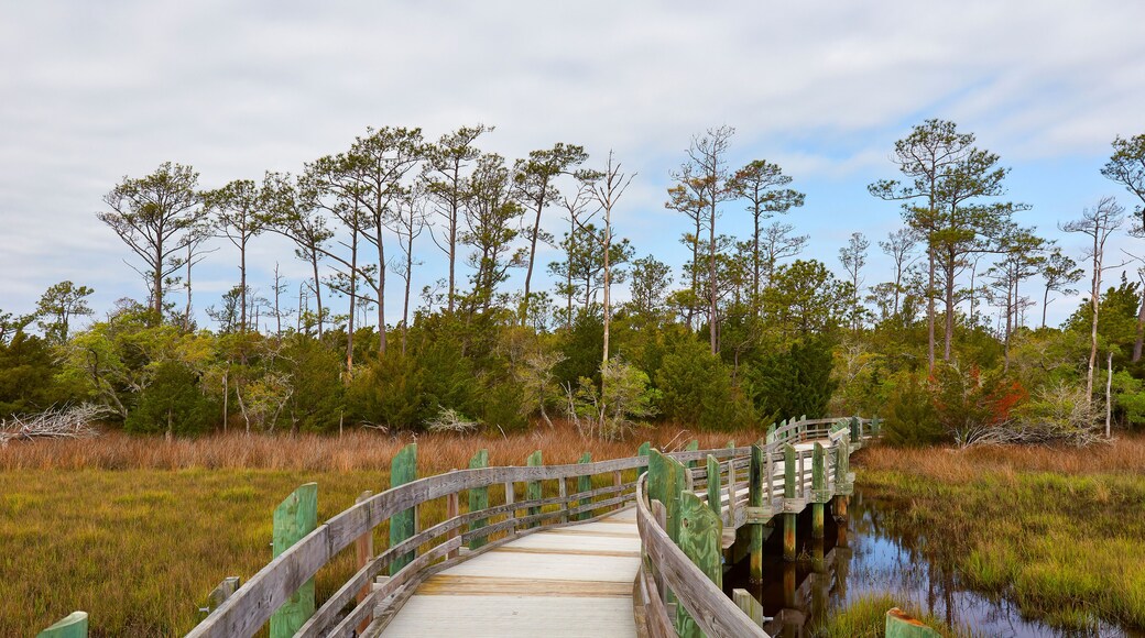 เดอะพอยท์