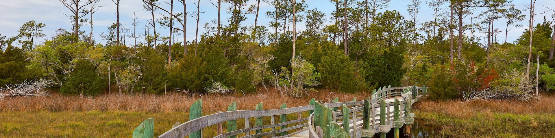 Boardwalk along the Cedar Point (Tideland) hiking trail, located in the Croatan National Forest near Emerald Isle, North Carolina
