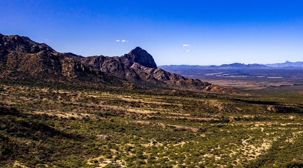 คอนติเนนตัล วิสตาส์