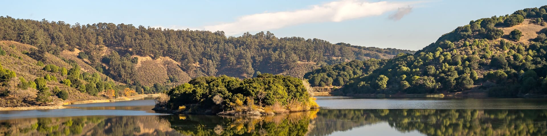Lake Chabot Regional Park. Autumn landscape.