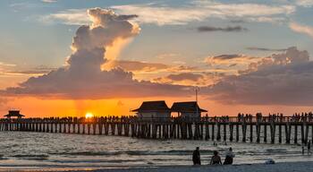 USA, Florida, Naples, panoramic view of Naples Pier with crowd enjoying sunset