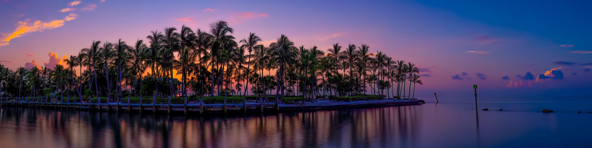 Colorful Island Palm Tree Sunset