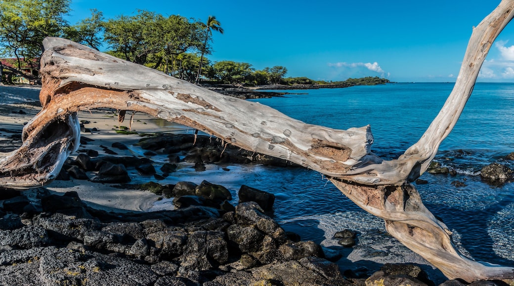 サンセット リッジ