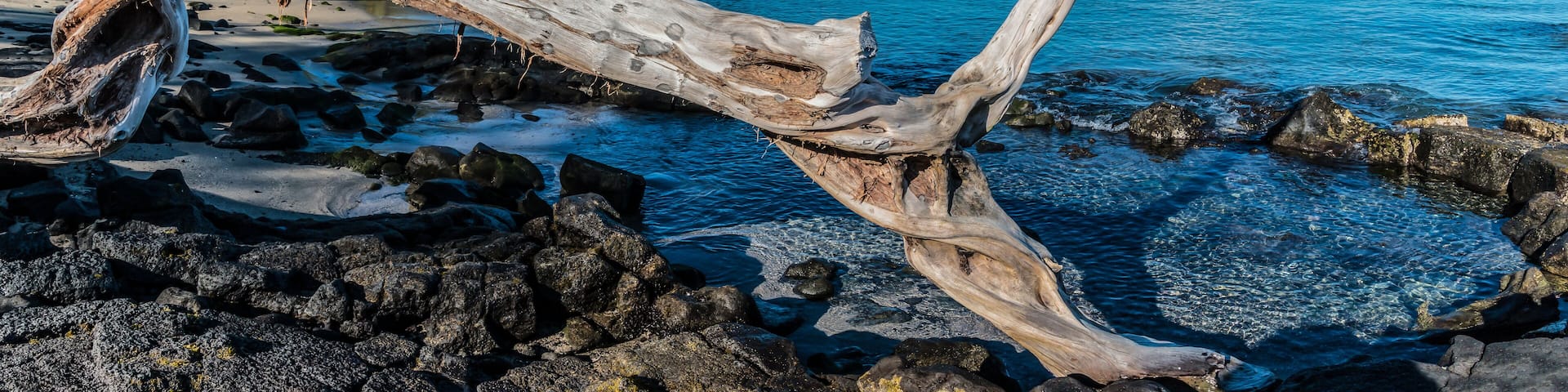 Driftwood on the Shore of Anaeho'omalu Bay, Waikoloa, Hawaii, USA