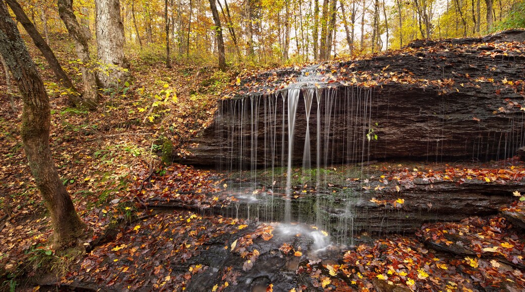 Natchez Trace Parkway, Tennessee and Mississippi, USA