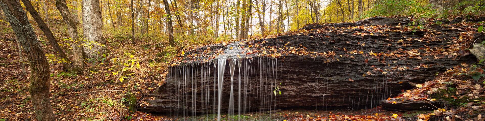 Natchez Trace Parkway, Tennessee and Mississippi, USA