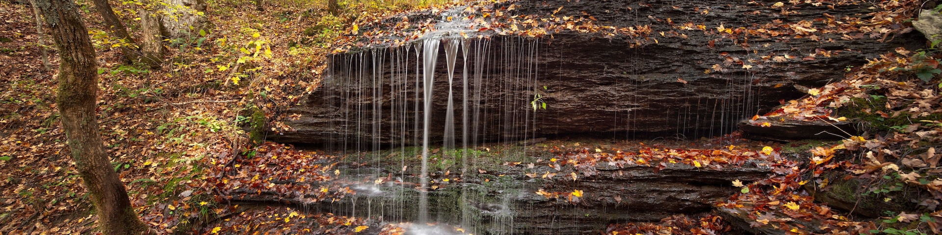Natchez Trace Parkway, Tennessee and Mississippi, USA
