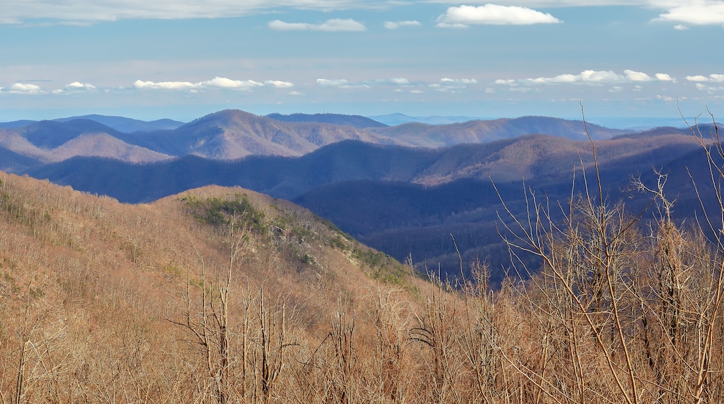 Mountain view from Three Ridges overlook along the Blue Ridge Parkway near Wintergreen Resort in west-central Virginia