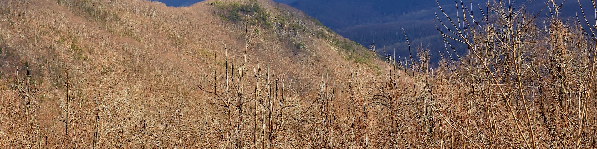 Mountain view from Three Ridges overlook along the Blue Ridge Parkway near Wintergreen Resort in west-central Virginia