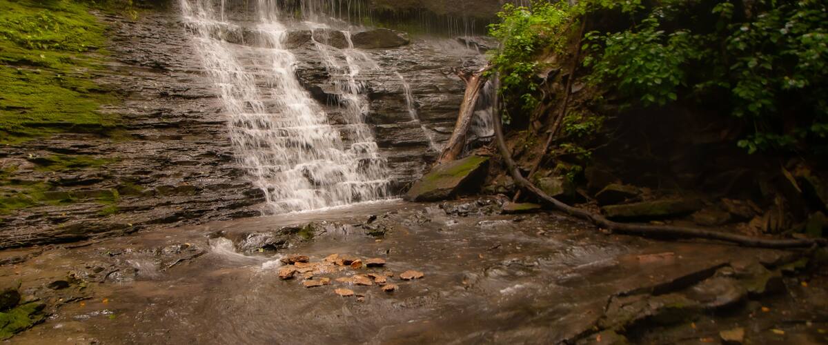 Foggy Scene of Waterfall in the Green Forest