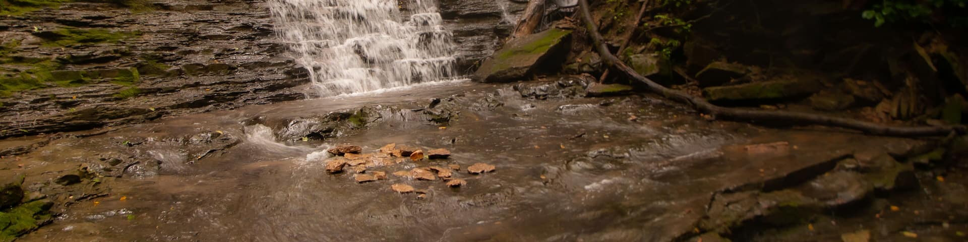 Foggy Scene of Waterfall in the Green Forest
