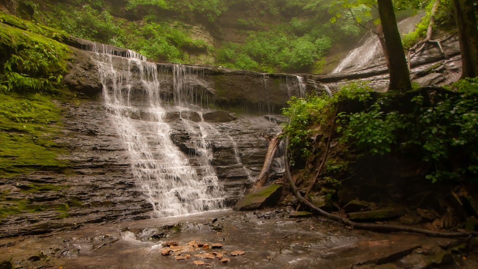 Foggy Scene of Waterfall in the Green Forest