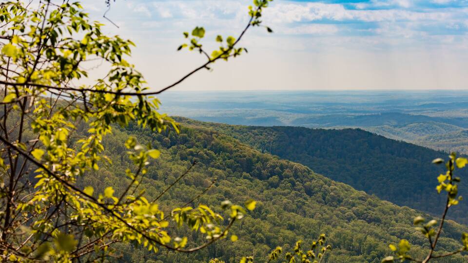 Cumberland Mountains