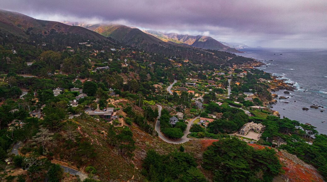 كارميل ريفييرا